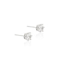 BRINCO PONTO DE LUZ RÓDIO