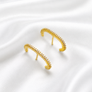 BRINCO EAR HOOK LINE
