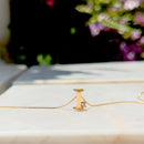 COLAR INICIAL COM ZIRCONIA BRANCA